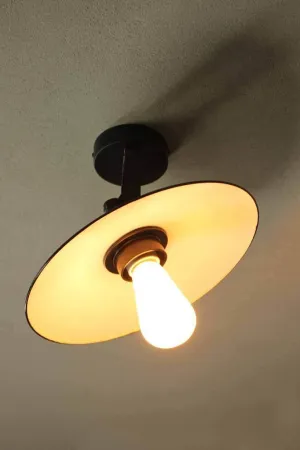 Dish Flush Mount Ceiling Light