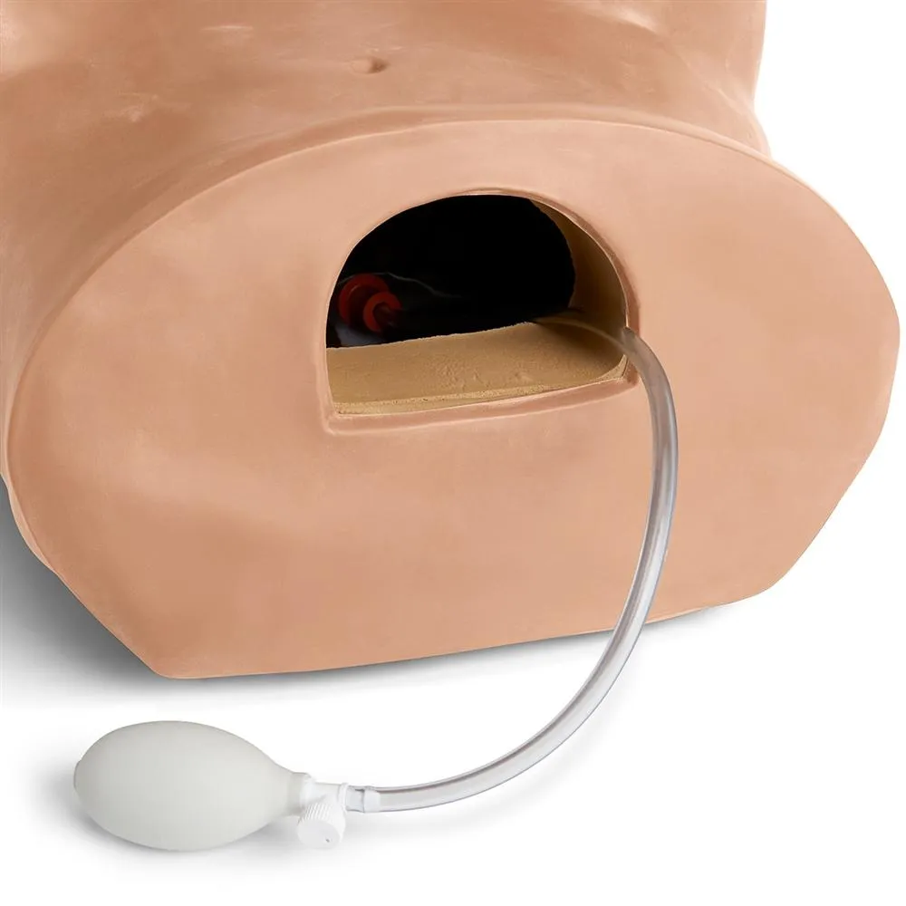 GYN-AID® Gynecologic Simulator, Dark