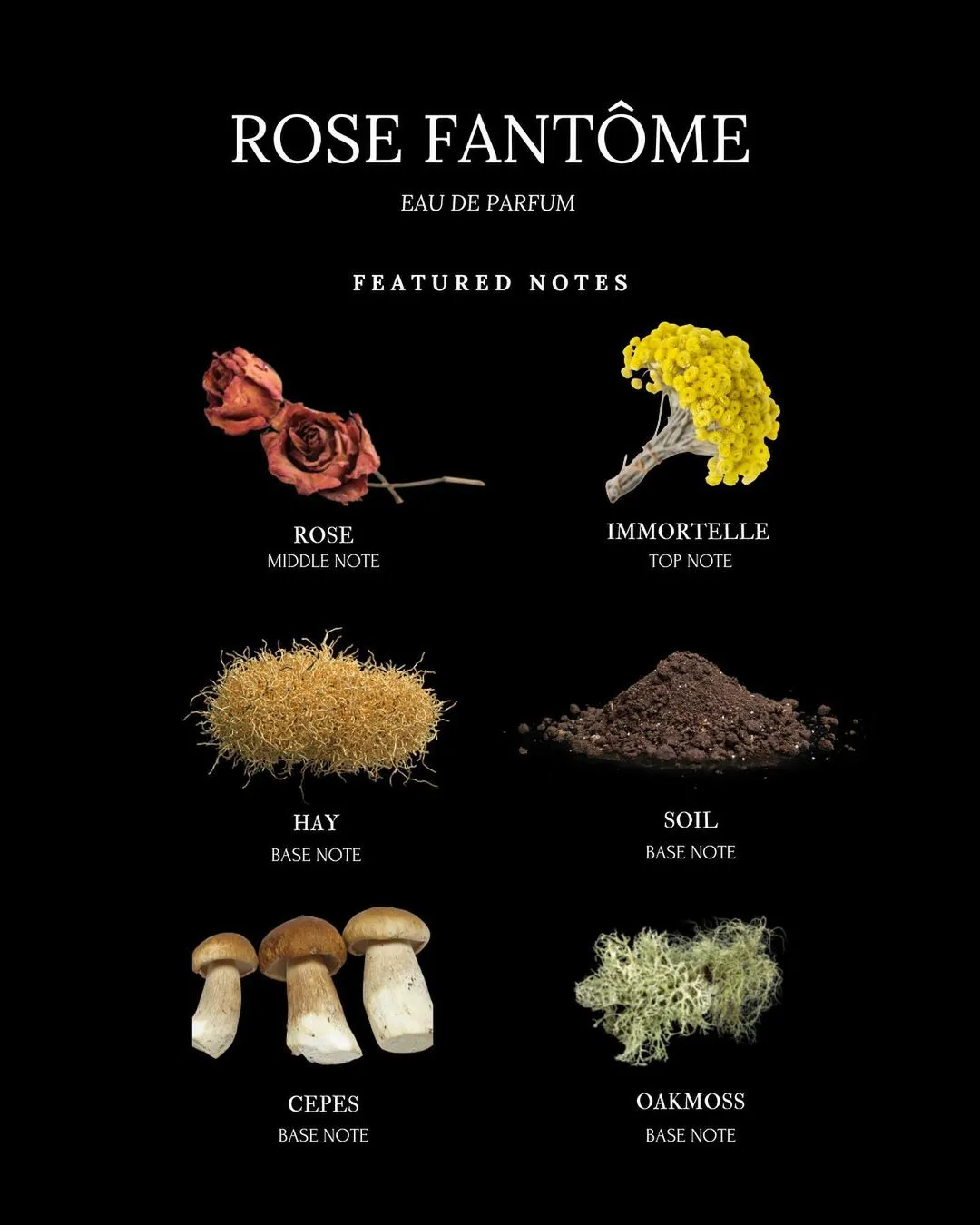 Rose Fantôme Eau de Parfum with rose, immortelle, cèpes